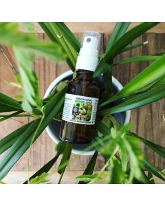 immune vital support spray30ml