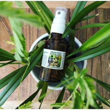immune vital support spray30ml