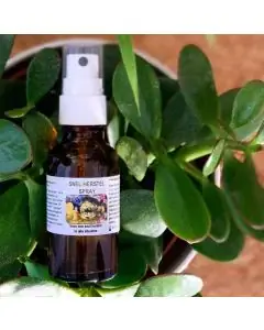 96803673_3251818701502986_5878652524084330496_n