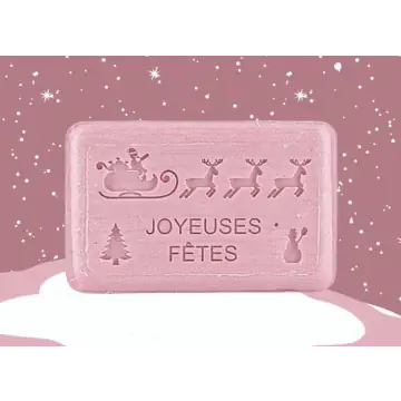 Kerstzeep - Joyeuses Fêtes - Sleigh